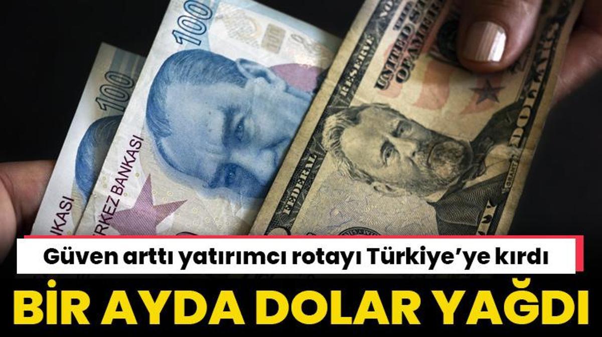 Türkiye ye dolar yağdı 1 ayda 10 milyar dolar giriş oldu Ekonomi