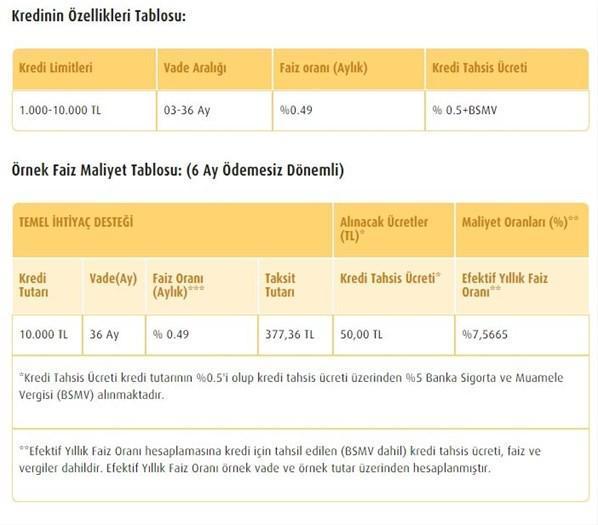 Temel ihtiyaç kredi başvurusu nasıl yapılır Ne zaman sonuçlanır 6 ay ertelemeli 10000 TL destek kredisi şartları nelerdir