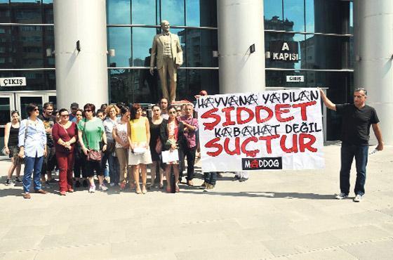 Kestiğim kedi kaç paraysa faturasını yollayın öderim