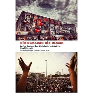 Farklı pencerelerden bir Gezi hikayesi