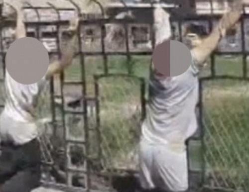 IŞİD kafaları kesip cesetleri sergiliyor