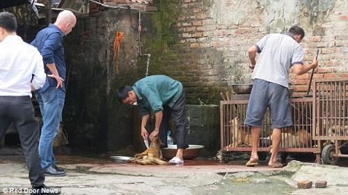 İnsanın en iyi dostu tabağı 100 liradan servis ediliyor (+18)