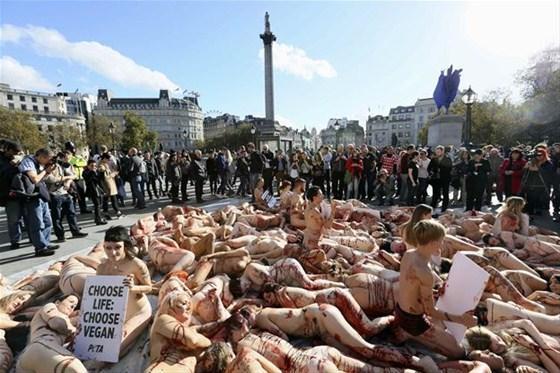 Londrada hayvan hakları için çıplak eylem