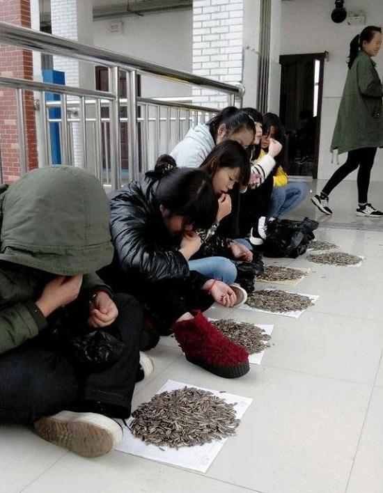 Çinli hocadan acımasız çekirdek yeme cezası