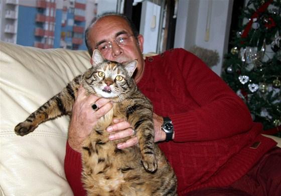 Dev kedi obezite tedavisi görüyor
