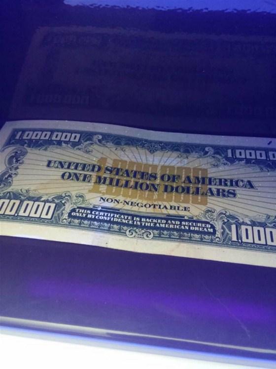 1 milyon dolarlık banknotla yakalandı