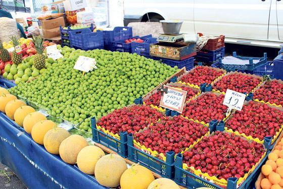 10 kuruşluk hesap ile kazanıp lüks sitede yaşıyorlar