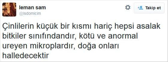 Leman Samdan tepki çeken tweet