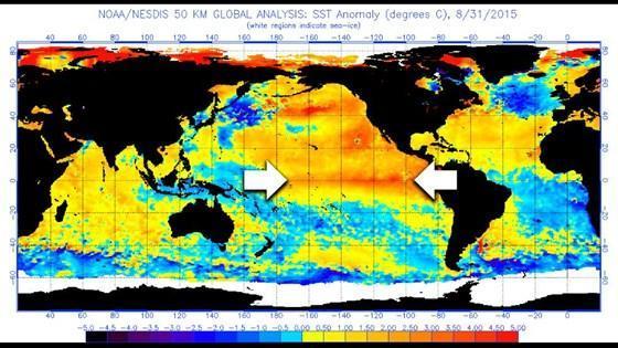 Son 50 yılın en güçlü El Ninosu yaşanabilir