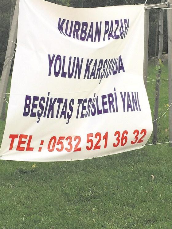 Beşiktaş kurbanlık tesisleri