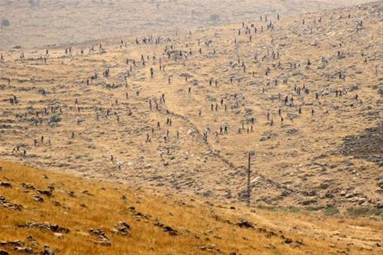 Cizrede sokağa çıkma yasağı kalktı