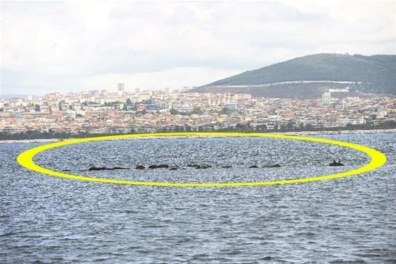 İstanbul’un kayıp adası Vordonisi