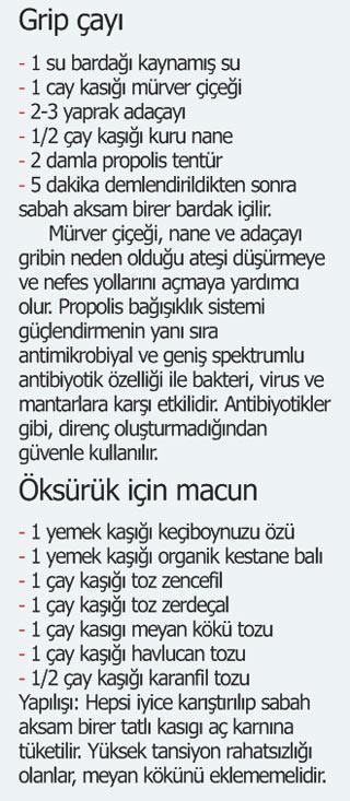 Gripten korunmak için 460 bin ton bitki içiyoruz