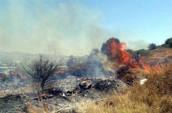 İnsan zinciri oluşturup yangını söndürdüler