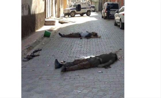 Nusaybinde 7 terörist etkisiz hale getirildi