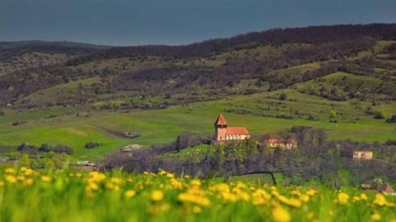 Vampir hikâyelerini doğuran gerçek hastalıklar