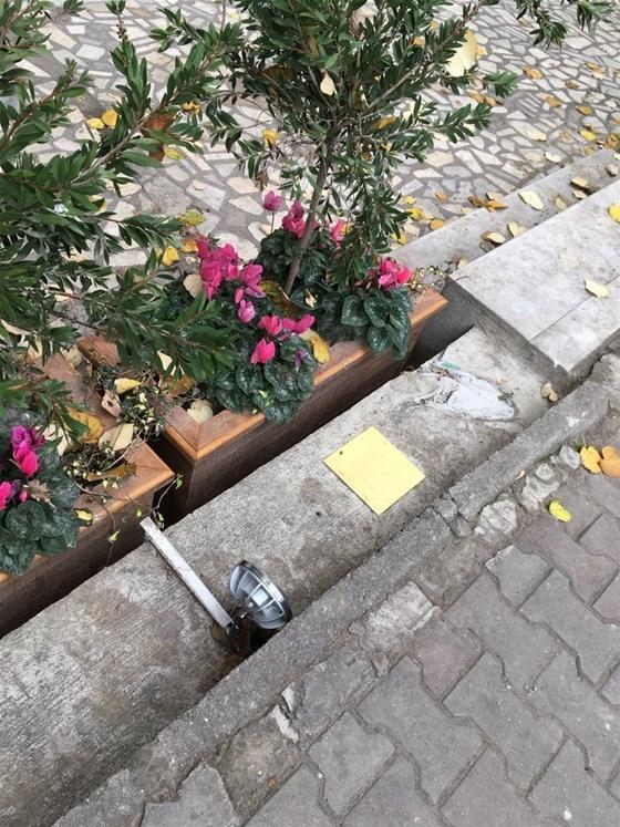 Kadıköyün kedisi Tombilinin heykeli çalındı