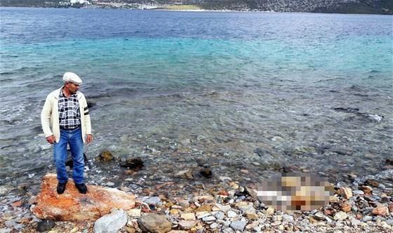 Şenlik için gittiler, erkek cesedi buldular