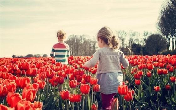 Dünyanın en mutlu çocukları neden Hollanda’da