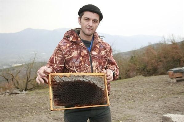Bursada şok eden arı ölümleri
