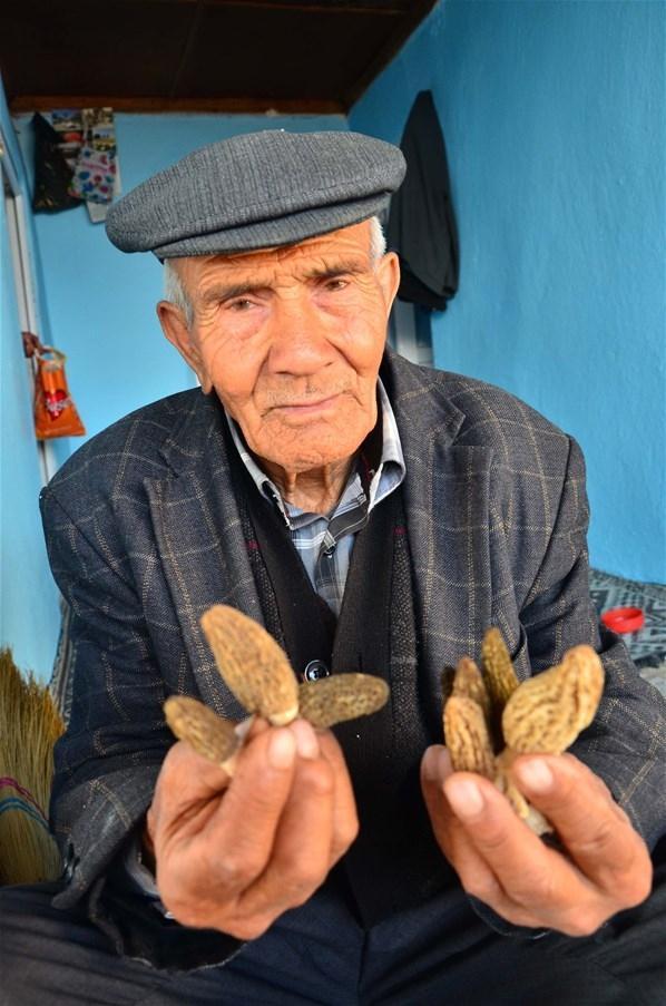 Kilosu 120 liradan satılan kuzu göbeği için ormana koştular