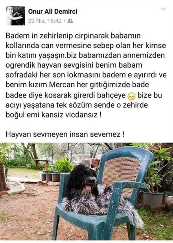 Bodrumda zehirli yiyecek isyanı