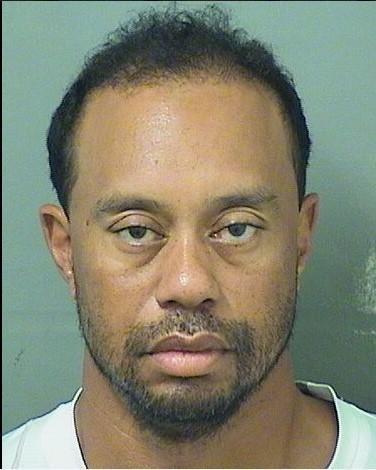 Ünlü golfçü Woods gözaltına alındı