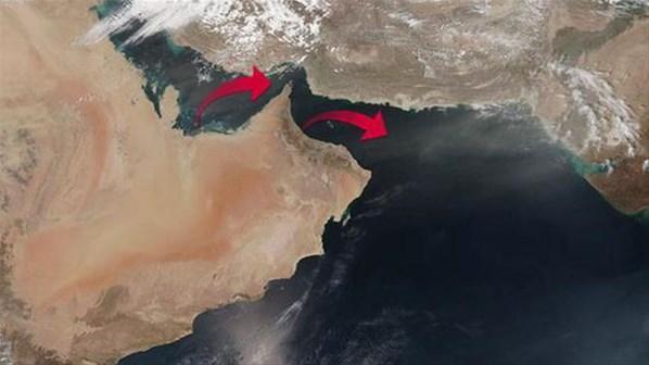 Katara 4 bin inek havadan taşınacak