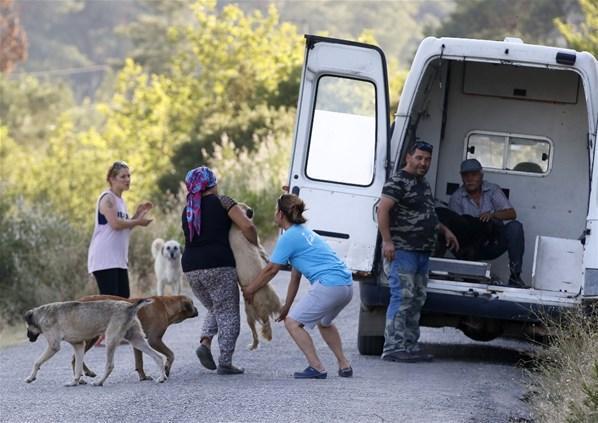 İzmir 2 gündür yanıyor Valilikten acil çağrı