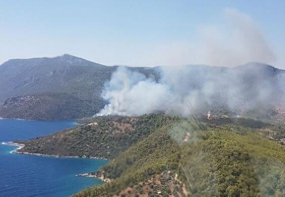 Milasta orman yangını