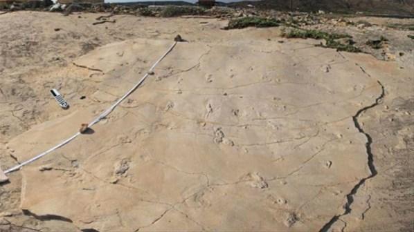 Akdenizde 6 milyon yıl öncesine ait ayak izleri