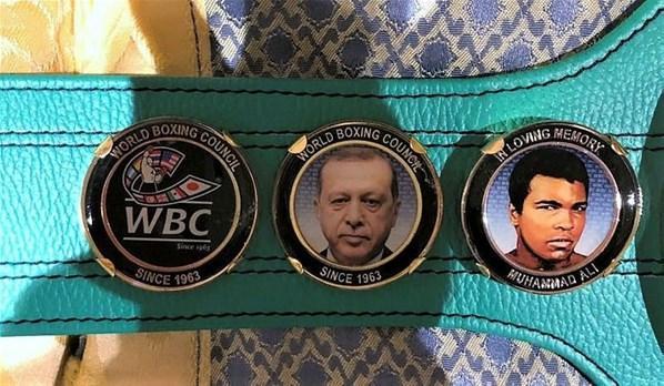 Cumhurbaşkanı Erdoğana anlamlı ödül