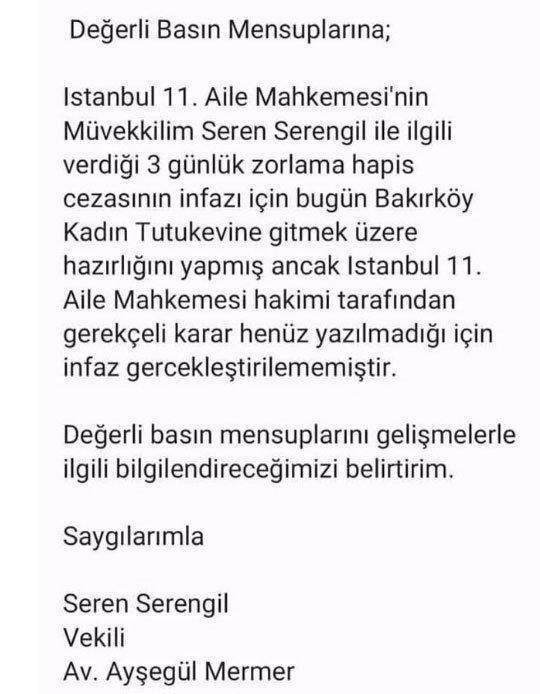 Seren Serengil cezaevine giremedi