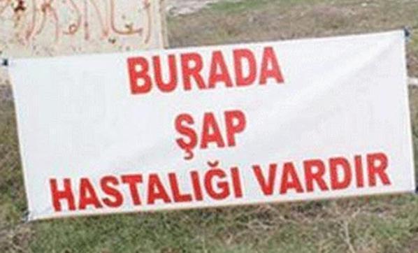 Denizli’de 15 mahalle karantinaya alındı
