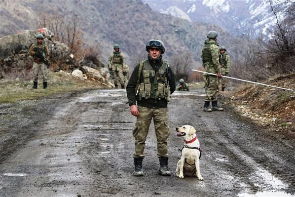 Eşek arısı teröristlerin kabusu oldu