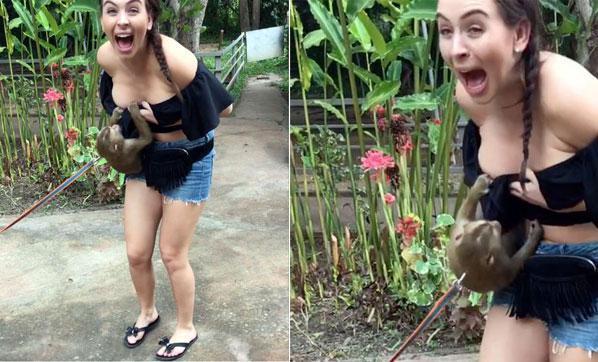 Genç kadına şok maymun tacizi