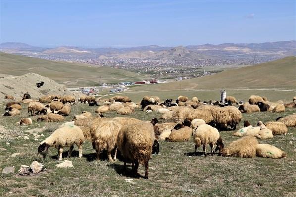 Müjdeyi Erdoğan vermişti Ve başladı