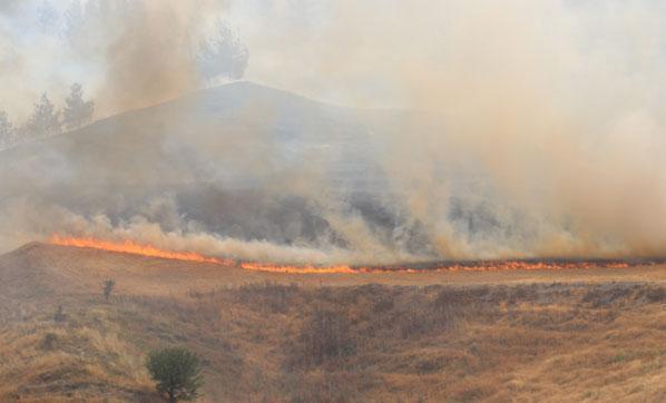 Denizli’de orman yangını kontrol altına alındı