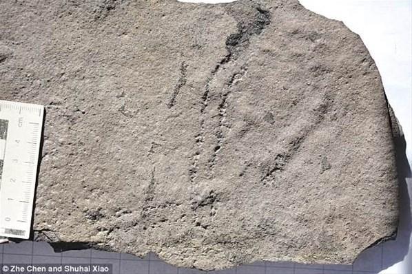 Dünyanın en eski ayak izi bulundu