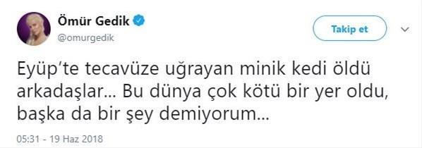 Yavru kediye tecavüz iddiası