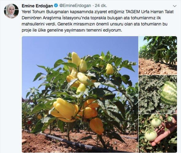 Emine Erdoğandan yerel tohuma destek