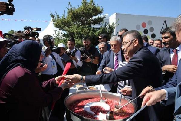 Cumhurbaşkanı Yardımcısı Fuat Oktay, Kırşehirde