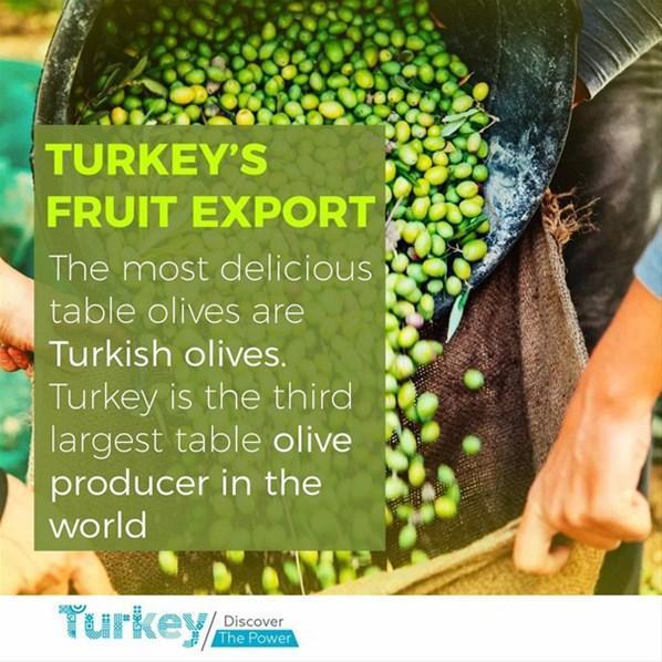 Türkiyenin ihracatta öne çıktığı veriler hazırlandı
