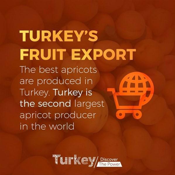 Türkiyenin ihracatta öne çıktığı veriler hazırlandı