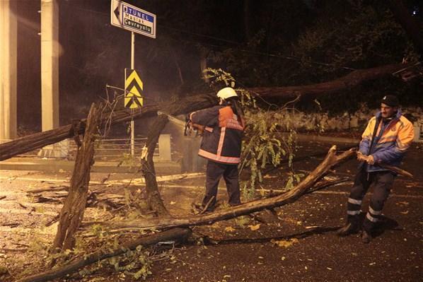Sarıyer’de tünel girişine ağaç devrildi, yol trafiğe kapandı