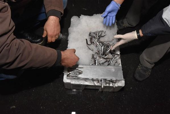 Boy yasağına takılan 5 ton balığa el konuldu