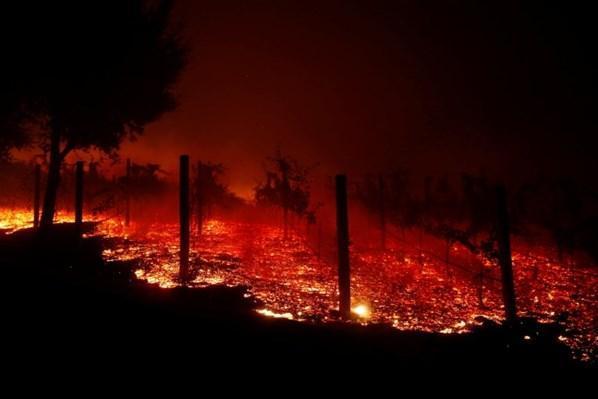 Californiadaki yangınlarda felaketin bilançosu ağırlaşıyor