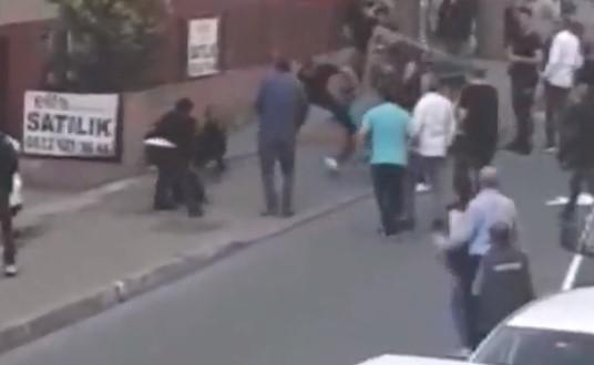 İstanbulda narkozlu köpek dehşeti