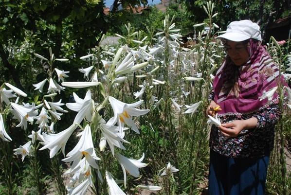 Hobi olarak başladı, paraya para demiyor