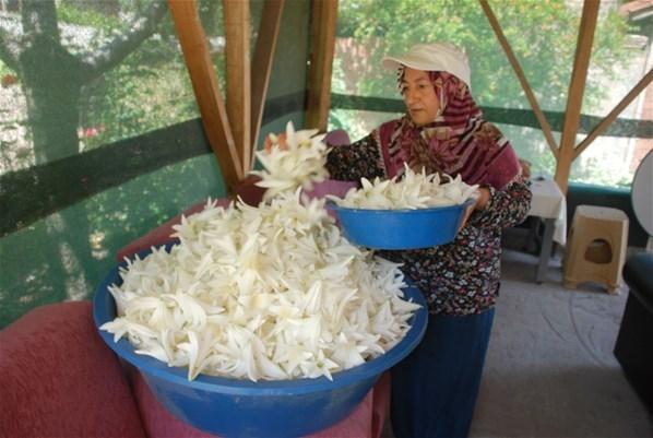 Hobi olarak başladı, paraya para demiyor